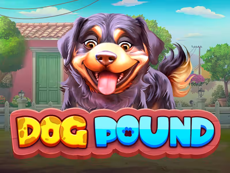Dog Pound