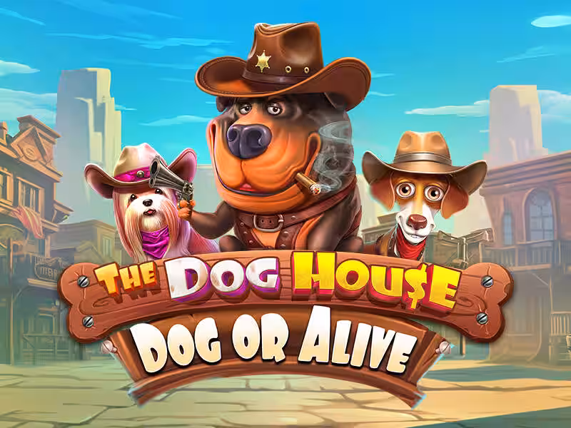 The Dog House – Dog or Alive