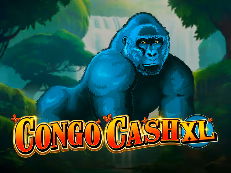 Congo Cash XL